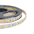 Taśma LED V-TAC VT-2835 120 CCT 60LED 24V 14W/m 3000-6500K 1550lm (SKU 2897) - 2094458