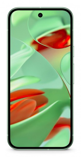 Telefon komórkowy Pixel 9 256GB/Wintergreen Google - 2465960