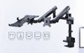 GEMBIRD BIURKOWE REGULOWANE RAMIĘ/UCHWYT NA 2 MONITORY + PÓŁKA NA NOTEBOOKA 17-32, VESA 100X100MM, DO 8 KG - 1736049