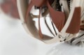 Ciche chłodzenie procesora Noctua Dual Radiator - 2479400