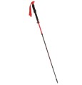 Kije Viking SPIDER FS black/red UNI - 2484953