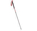 Kije Viking SPIDER FS black/red UNI - 2484952