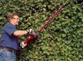 Einhell GC-EH 6055/1 Pojedyncze ostrze 600 W 3,47 kg - 2462011