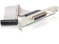 Delock Karta PCI Express 4 x szeregowy, 1x - 2500616