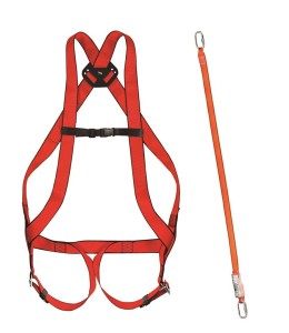 Zestaw BASIC 10+amortyzator 31A 30/30+2 karabińczyki