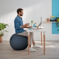 LEITZ Ergo Cosy Piłka do siedzenia szara - 1864000