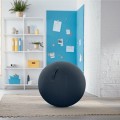 LEITZ Ergo Cosy Piłka do siedzenia szara - 1864004