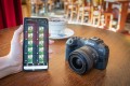 Canon EOS R8 - kamera cyfrowa RF 24-50mm - 2509475