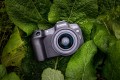 Canon EOS R8 - kamera cyfrowa RF 24-50mm - 2509473