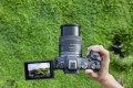 Canon EOS R8 - kamera cyfrowa RF 24-50mm - 2509477