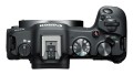 Canon EOS R8 - kamera cyfrowa RF 24-50mm - 2509468