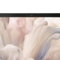 Dell Pro 14 Premium PA14250 Ultra 7 266V 14.0"FHD+ IPS 60Hz Matt 16GB DDR5 SSD512 Arc Graphics 140V FPR WLAN + BT BACKLIT KB 3 Cell W11Pro 3Y Pro Support - 2514900