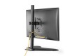 Stojak biurkowy pojedynczy , 1xLCD, max. 32", max.8kg, uchylno-obrotowy 180° PIVOT - 2466579