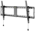 Wentronic Pro TILT (XL) 2,54 m (100") Czarny - 2519481