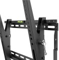 Wentronic Pro TILT (XL) 2,54 m (100") Czarny - 2519478