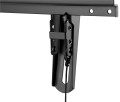 Wentronic Pro TILT (XL) 2,54 m (100") Czarny - 2519479