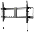 Wentronic Pro TILT (XL) 2,54 m (100") Czarny - 2519484