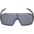 Okulary ALPINA BONFIRE kolor MIDNIGHT-GREY MATT szkło BLACK MIRROR Cat.3 FOGSTOP - 2529488