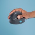 Myszka R-Go HE BASIC MEDIUM ERGONOMIC - Maus - Bluetooth (RGOHEBAMRWL) - 2463862