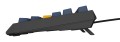 GENESIS Thor 230 TKL klawiatura Gaming USB QWERTY Angielski Niebieski - 2536118