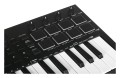 M-AUDIO Oxygen PRO MINI - Klawiatura Sterująca - 1037050
