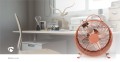 Nedis FNCL10PK20 wiatrak domowy Różowy - 2541628