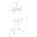 Techly ICA-TR23 Stolik pod telewizor lub centrum rozrywki 1 pół. - 1049719