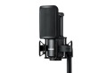 Shure SM4-K - Mikrofon pojemnościowy, zewnętrznie polaryzowany - 2140792
