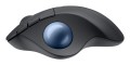Logitech ERGO M575S - 2544611