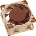 Wentylator NOCTUA NF-A4X20 40x20mm 3-Pin 5V - 2548508