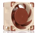 Wentylator NOCTUA NF-A4X20 40x20mm 3-Pin 5V - 1015465