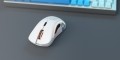 Glorious PC Gaming Race GLO-MS-DW-MW myszka Po prawej stronie RF Wireless 19000 DPI - 2549394