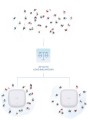 AX1800 WI-FI 6 POE ACCESS POINT/DUAL-BAND - 2549766