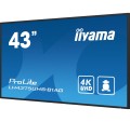 iiyama ProLite Płaski panel Digital Signage 108 cm (42.5") LCD Wi-Fi 500 cd/m2 4K Ultra HD Czarny Procesor wbudowany Android 11 24/7 - 2551830