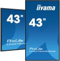 iiyama ProLite Płaski panel Digital Signage 108 cm (42.5") LCD Wi-Fi 500 cd/m2 4K Ultra HD Czarny Procesor wbudowany Android 11 24/7 - 2551828