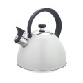 Czajnik 2,5L MAESTRO MR-1302-WG - 2580668