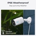 Reolink P340 Kula (kształt) Kamera bezpieczeństwa IP Wewnętrz i na wolnym powietrzu 4512 x 2512 px Ściana - 2585340