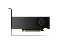 PNY NVIDIA 2000 ADA 16GB LOWPROFILE, PCIE 4.0 X16, DUAL SLOT, 4X MINI DP 1.4A, 16 GB GDDR6 ECC 128-BIT, HDCP 2.2, HDMI 2.0, SMALL BOX - 2587846