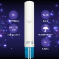 QOLTEC ANTENA 4G LTE DUAL | 12DBI | DOOKÓLNA | ZEWNĘTRZNA - 2588000