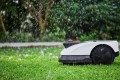 Robot do koszenia trawy Ecovacs Goat O500 Panorama (czarno-biały) - 2591833