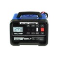 Dedra Prostownik 12/24V 25-180Ah - 2549211