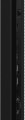 Monitor Iiyama 50 LH5060UHS-B1AG HDMI USB - 2551115