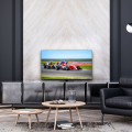 Telewizor LCD 43" QLED 4K/43QG7C14 THOMSON - 2600476