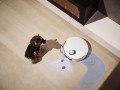 Robot sprzątający Mova by Dreame V50 Ultra Complete (biały) - 2603751