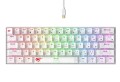 Klawiatura gamingowa Havit KB903L (biel transparentna) - 2605760