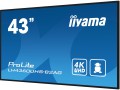 Monitor Iiyama 43 LH4360UHS-B2AG HDMI USB - 107.9 cm - 42.5" - 2551147
