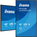 Płaski ekran iiyama LH4364UHS-B1AG 43 cale LCD UHD - 109,2 cm - 2607383