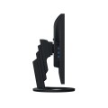 Monitor EIZO FlexScan EV2495-BK - 61,2 cm (24,1") - 1920 x 1200 pikseli - WUXGA - LED - 5 ms - 2552043
