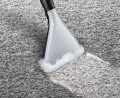 Odkurzacz BOSCH BWD 421 PET AquaWash&Clean - 1329116