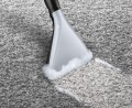Odkurzacz BOSCH BWD 421 PET AquaWash&Clean - 814590